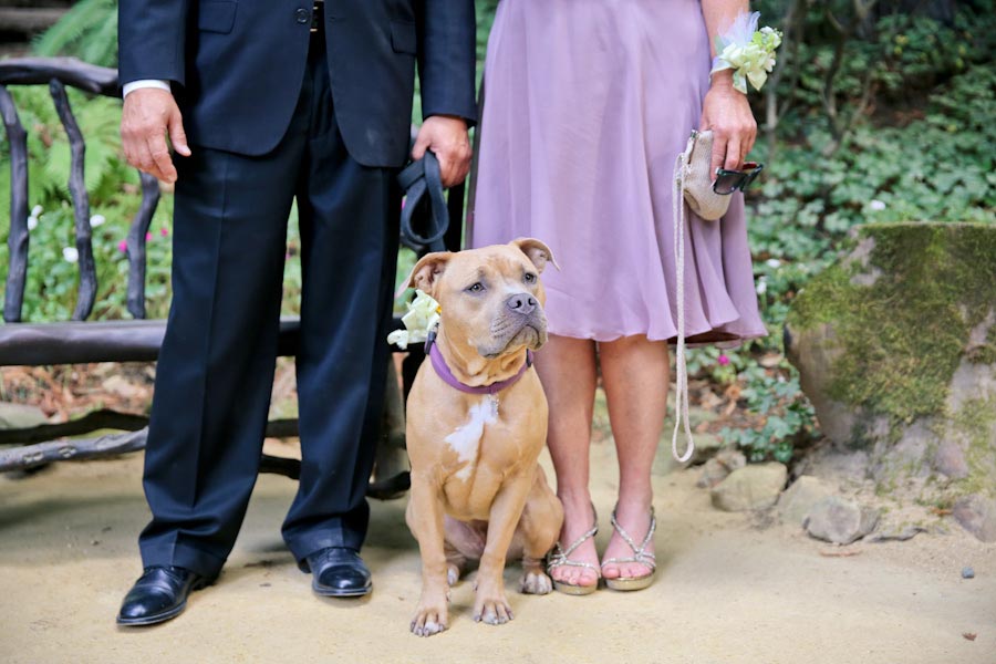 Nestldown Redwood Wedding Santa Cruz Photographer