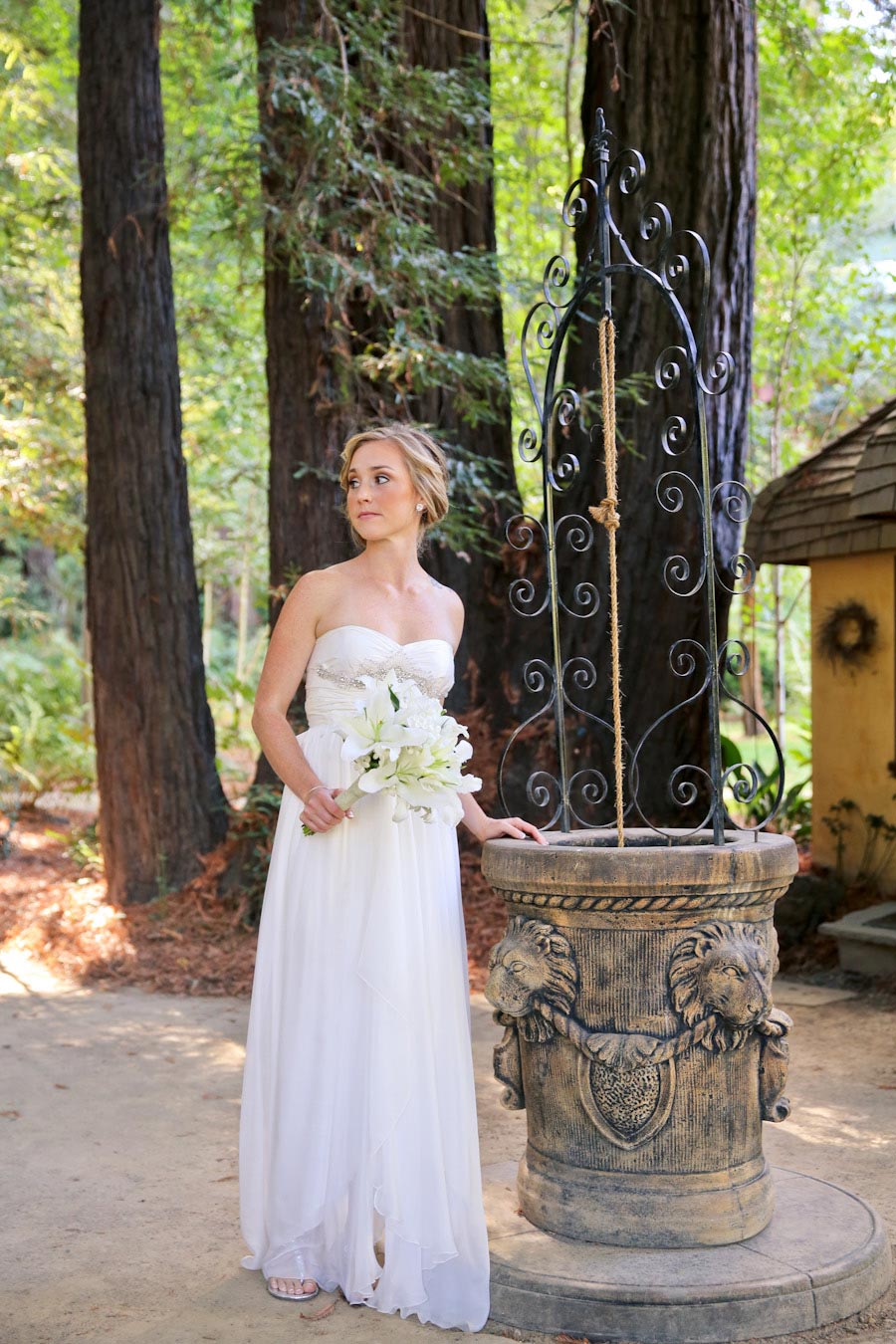 Nestldown Redwood Wedding Santa Cruz Photographer