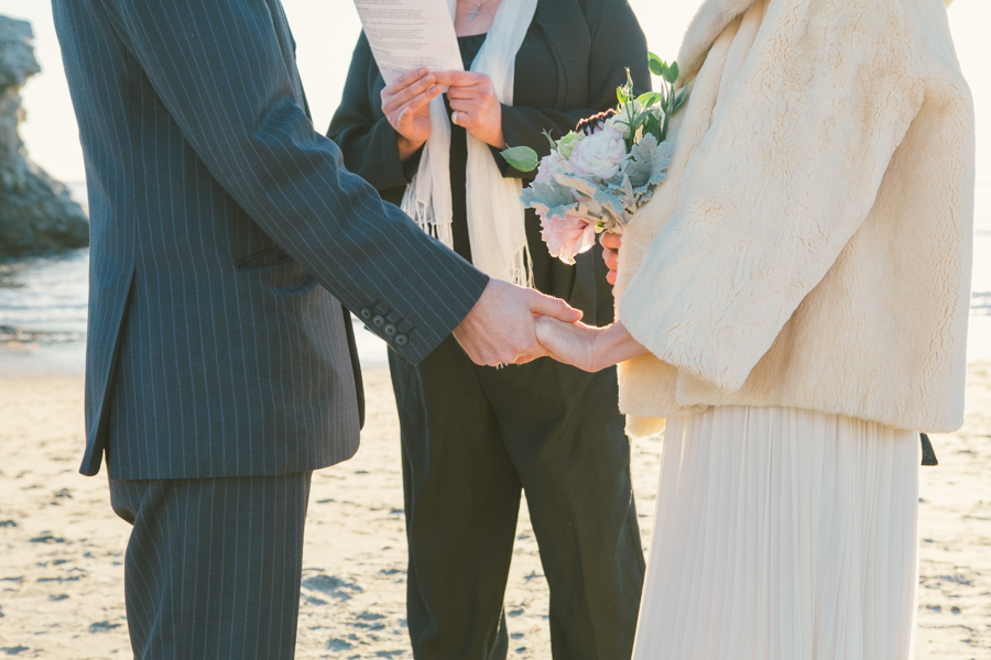 santa cruz beach wedding photography