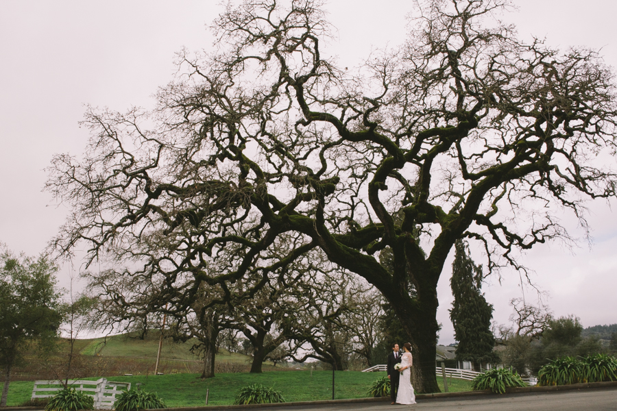 Santa Cruz wedding photographer