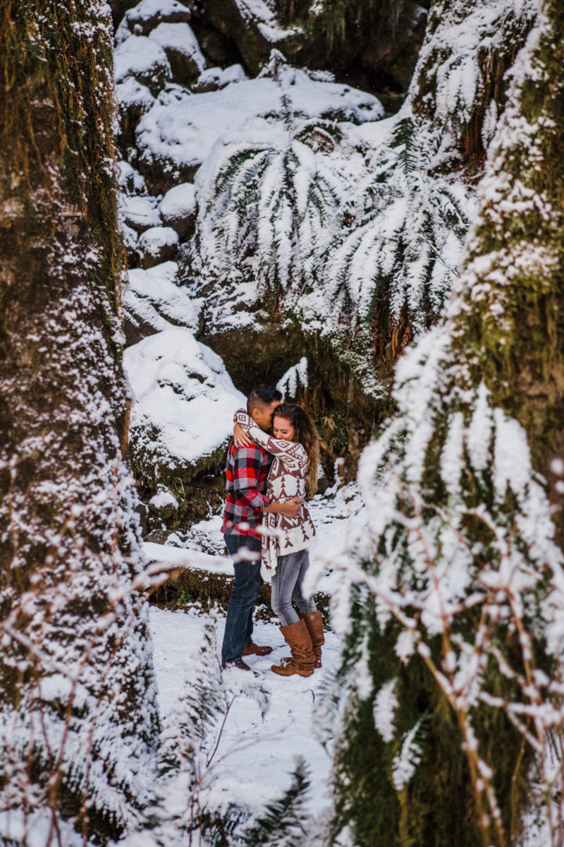 olympic national park engagement