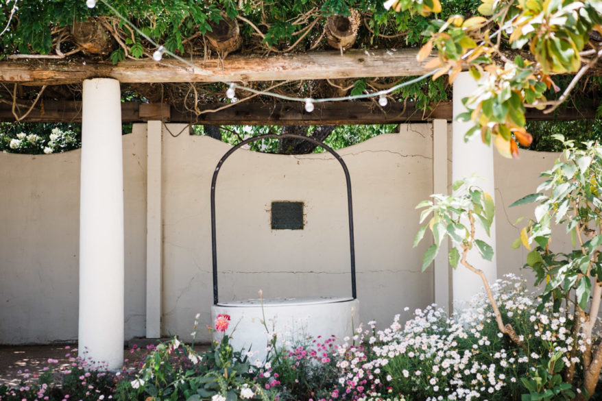 ithaca-wedding-photographer-garden-courtyard