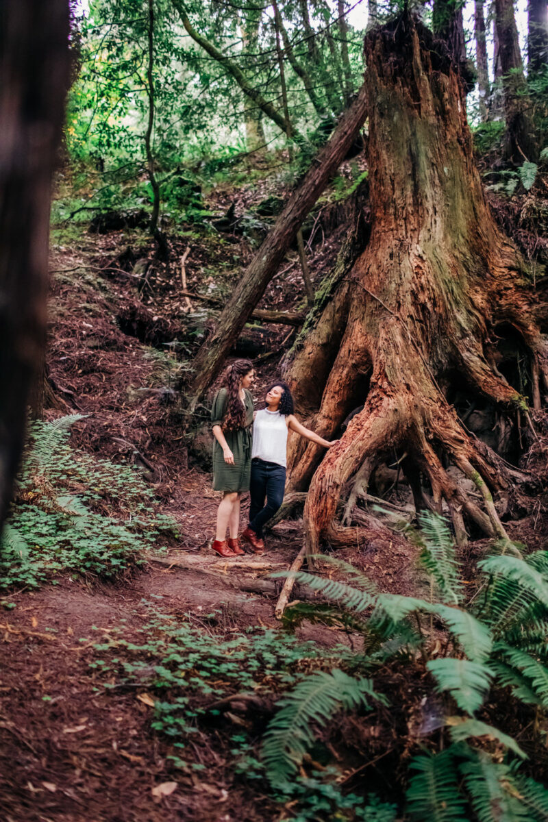finger-lakes-forest-engagement-photography