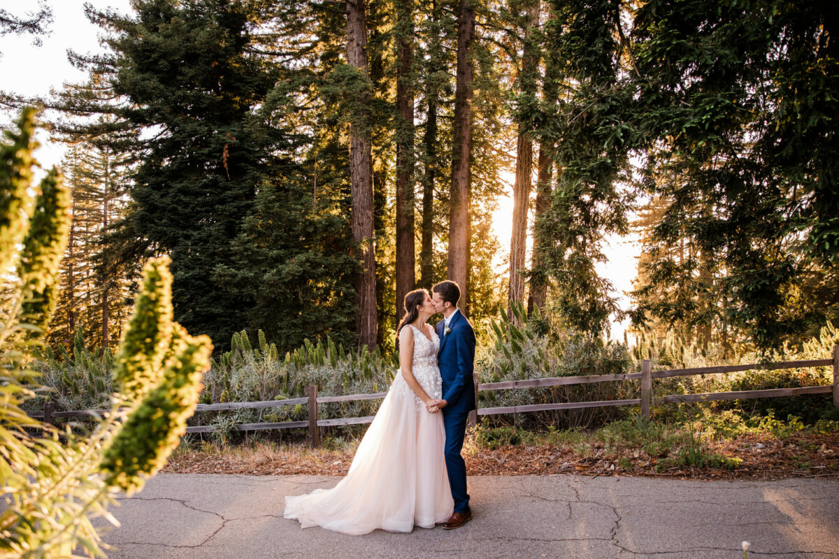 ithaca-wedding-photographer-woods