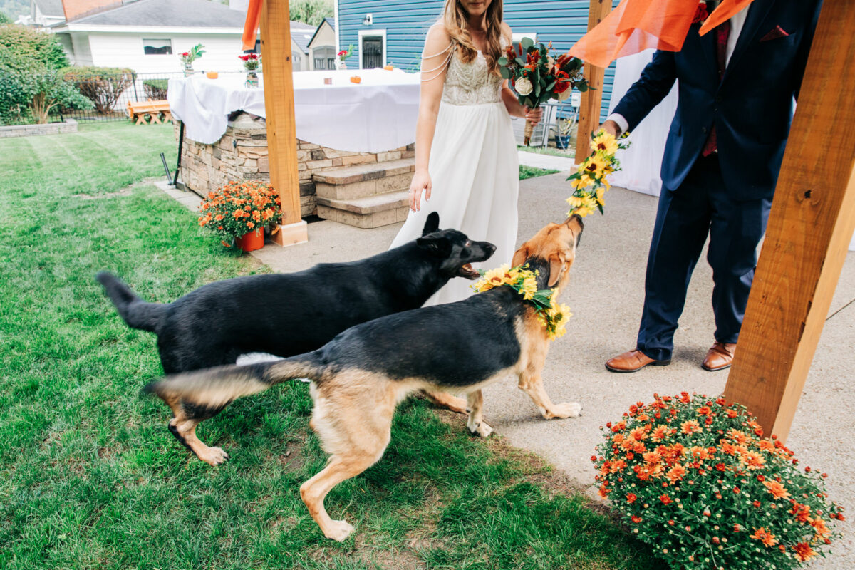 finger-lakes-elopement-photographer