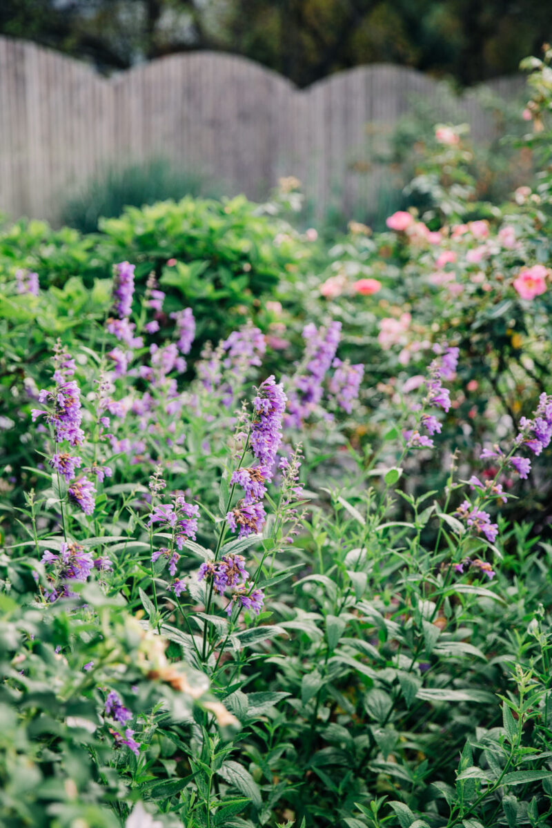 ithaca-engagement-session-photographer