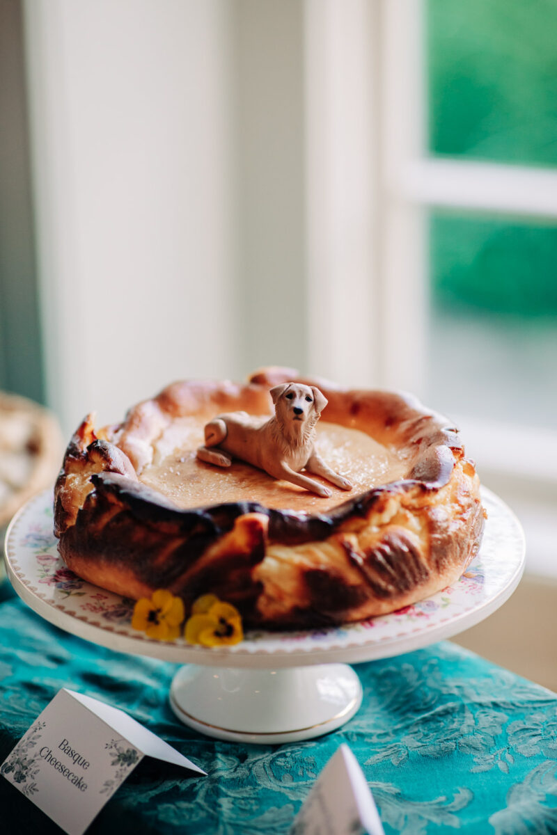 ithaca-ny-wedding-photographer