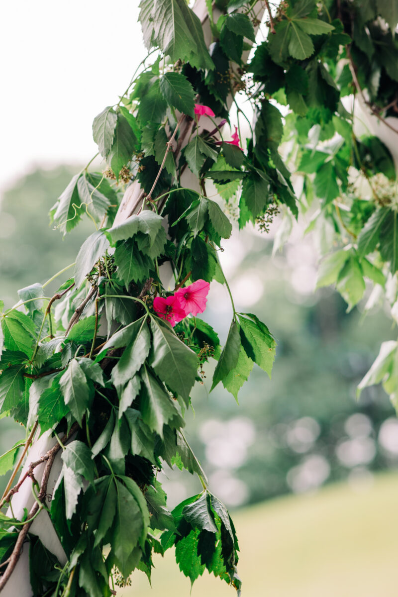 finger-lakes-wedding-photographer