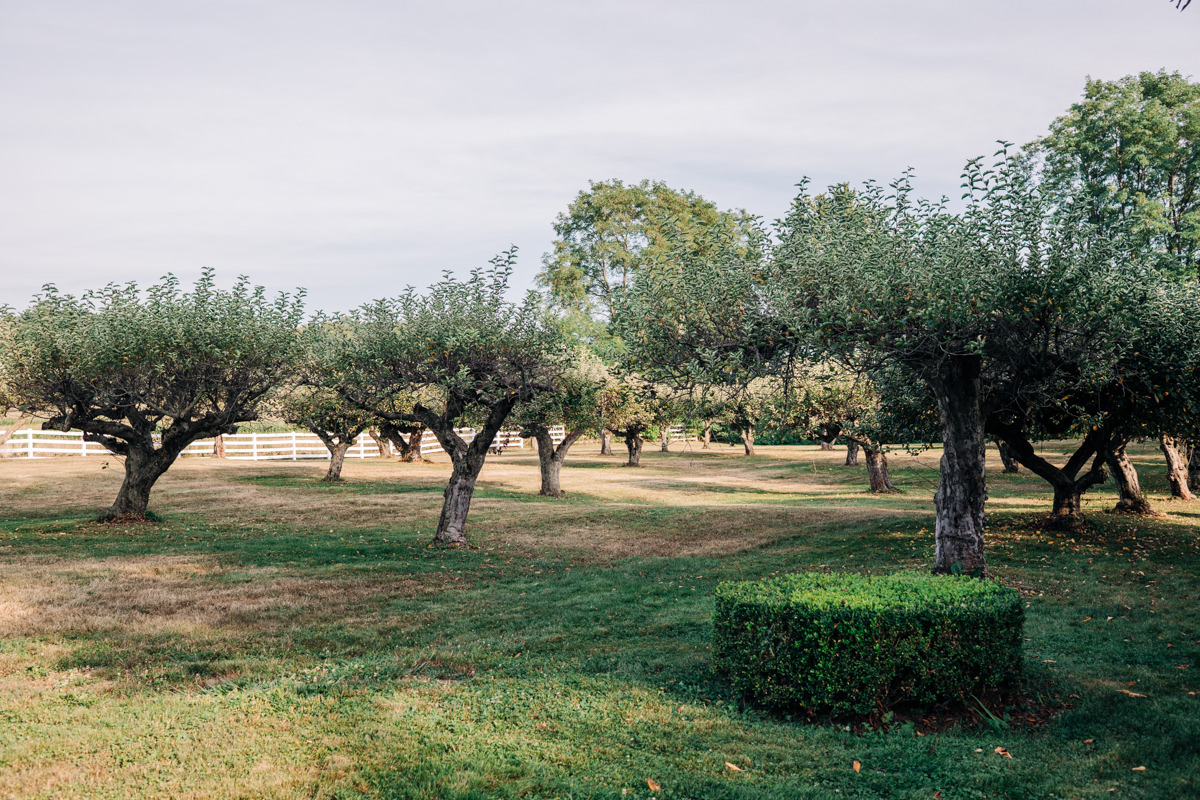 john-joseph-inn-wedding