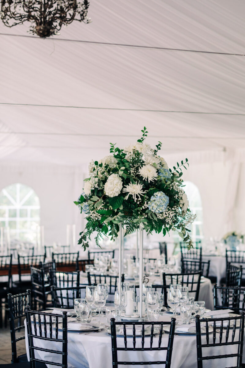 finger-lakes-wedding-photographer