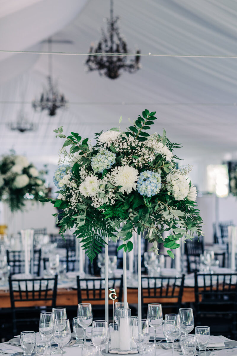 finger-lakes-wedding-photographer